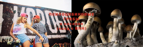 а пвп мука Баксан