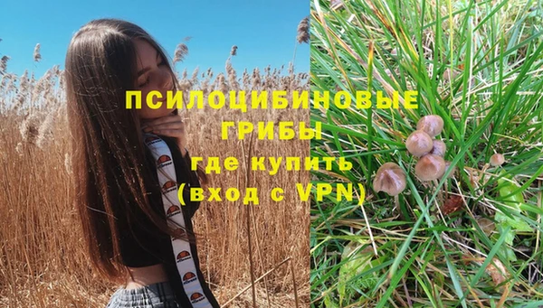 а пвп мука Баксан