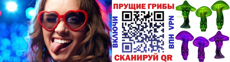 что такое наркотик omg как войти Галлюциногенные грибы Psilocybe Котово