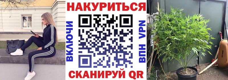 Бошки марихуана планчик  наркота  гидра ТОР  Котово 